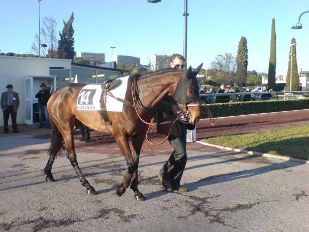 Malisse d'Avril