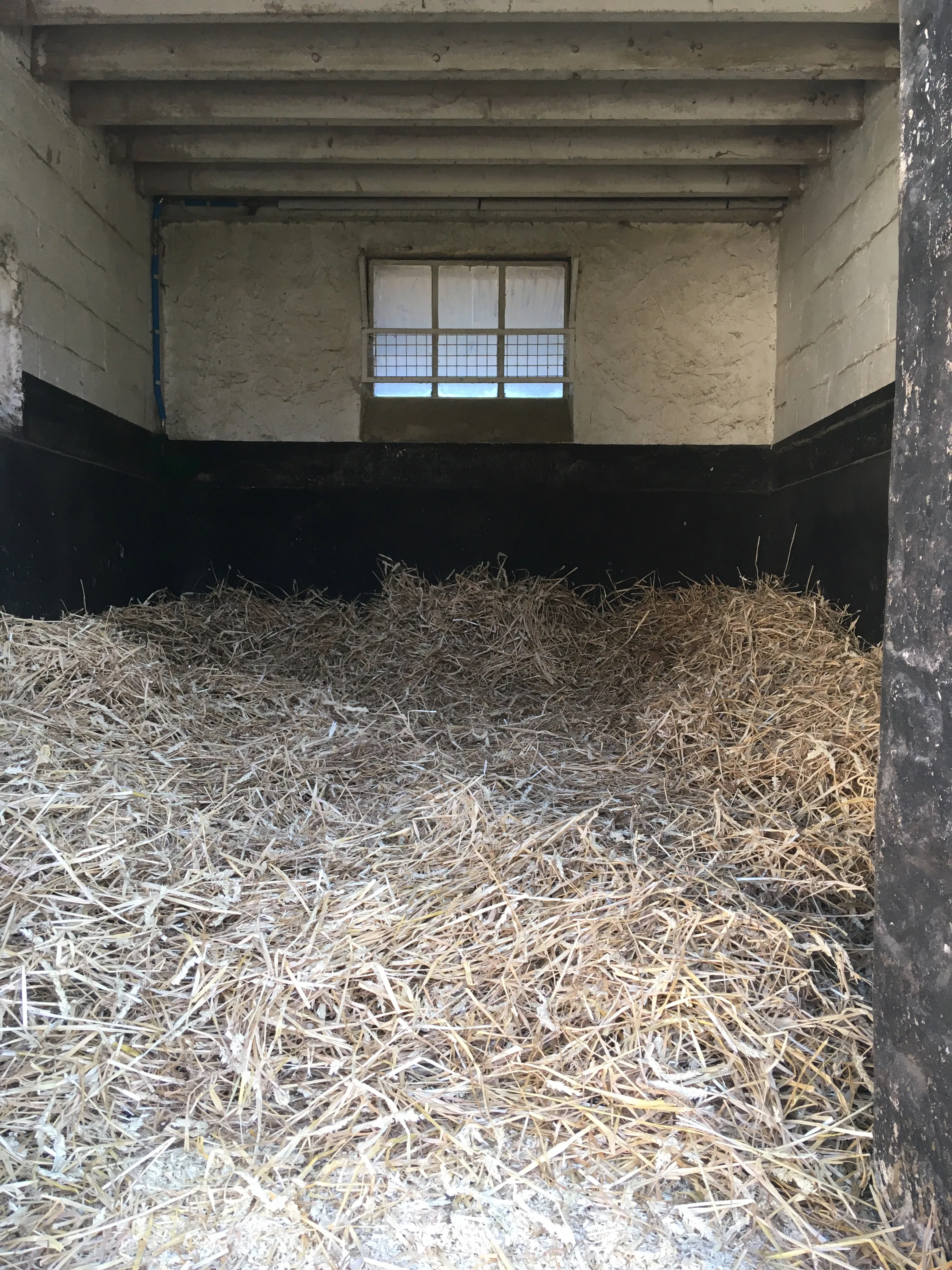 Boxes extérieurs (4×3 m)