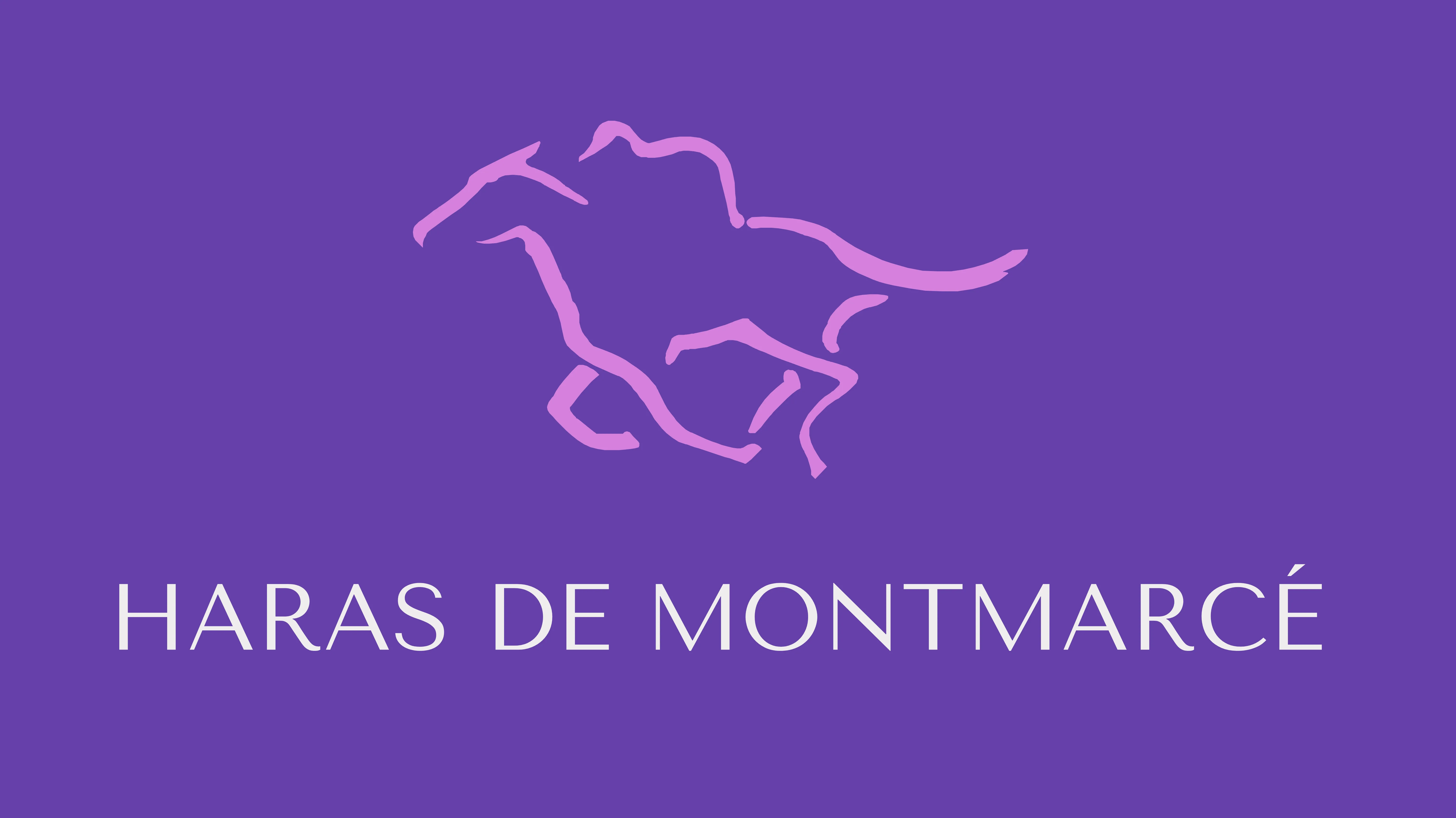 Haras de Montmarcé