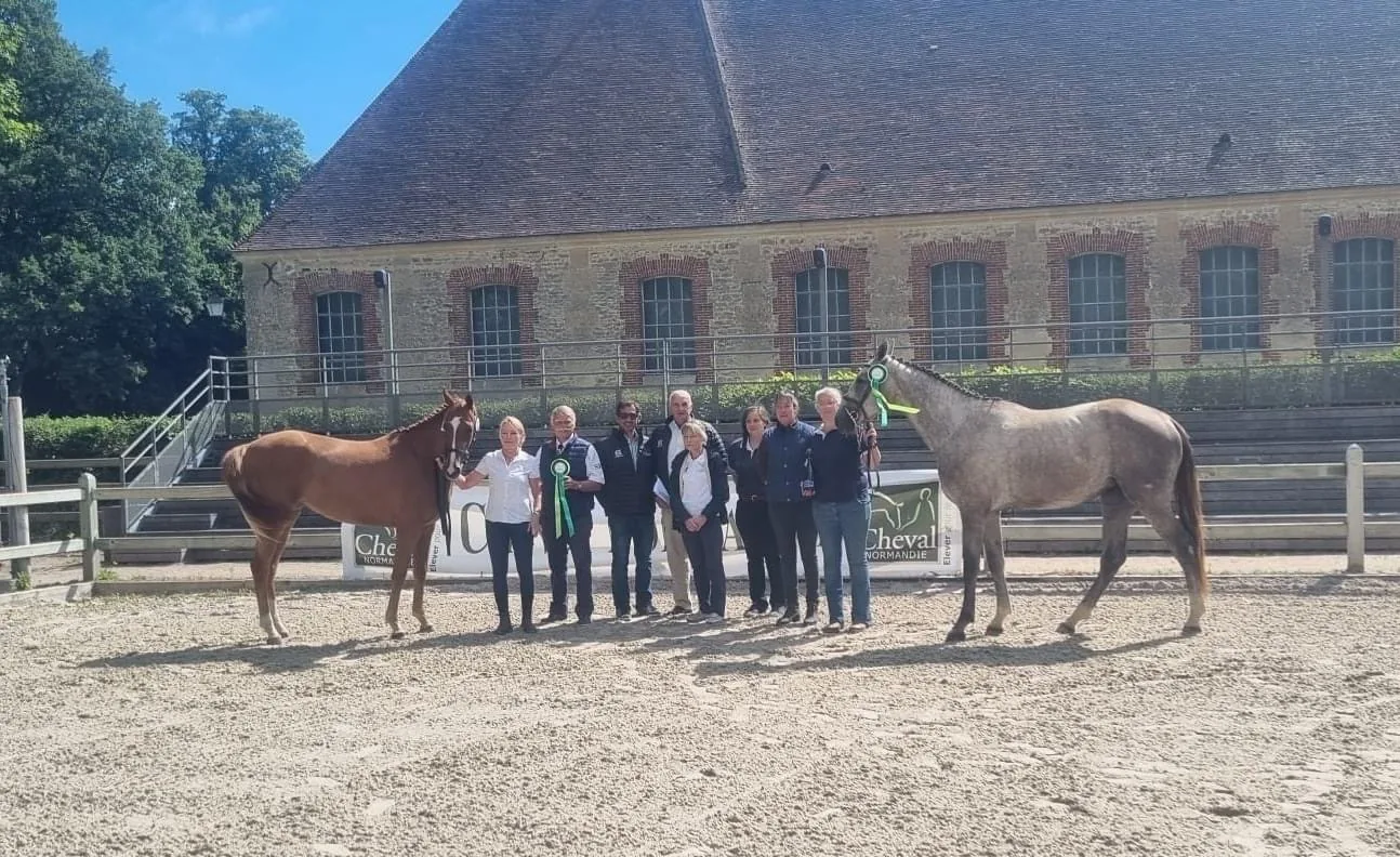 Champions du haras