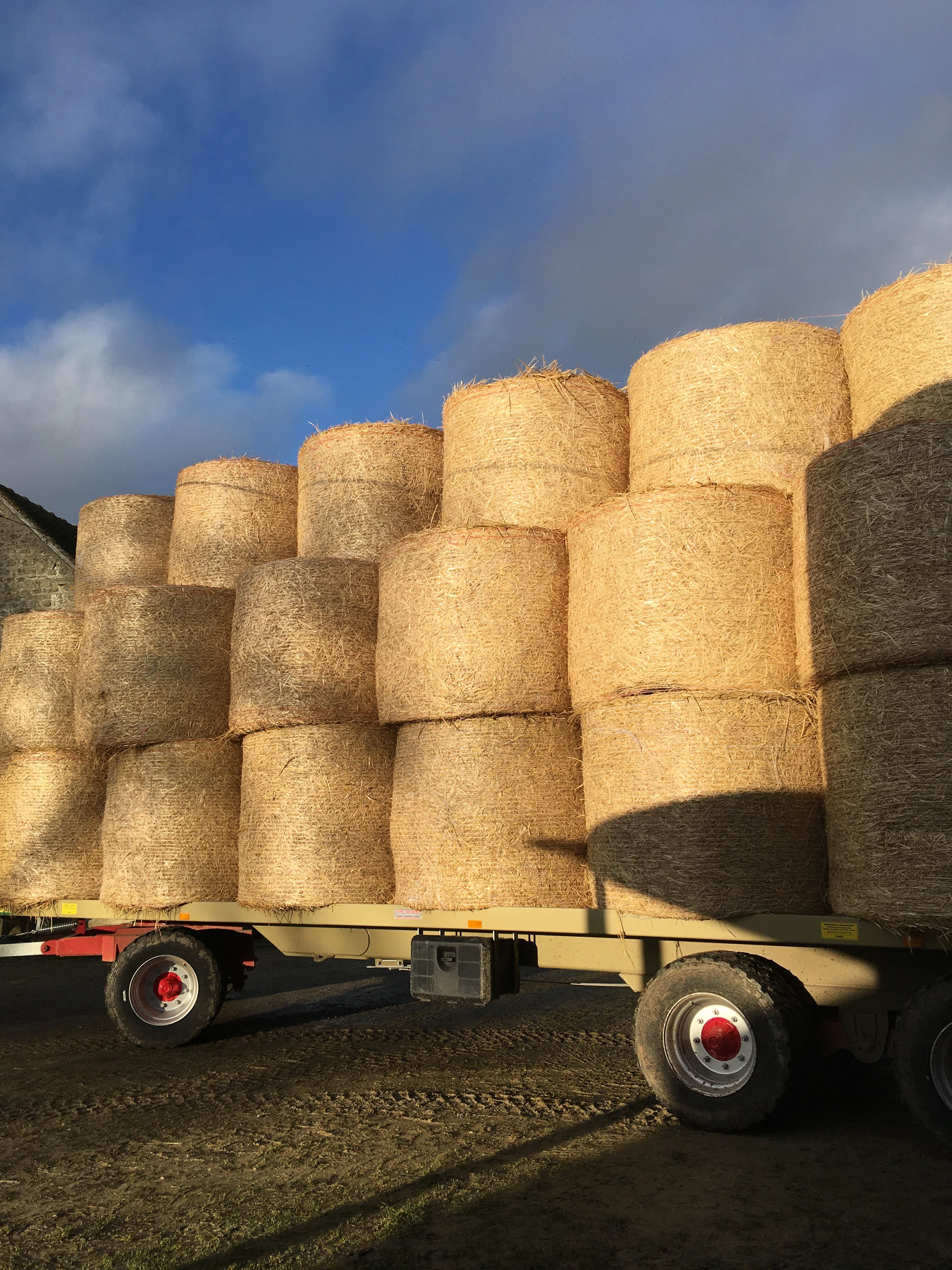 Stocks pour l'hiver
